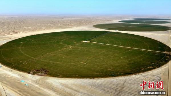 �½��ϲ�ɳĮ�֡���ɫԲ�̡�