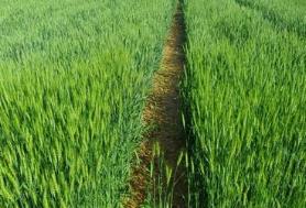 ũҵũ�岿����С���ù������